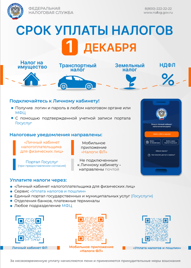 Срок уплаты налогов - 1 ДЕКАБРЯ